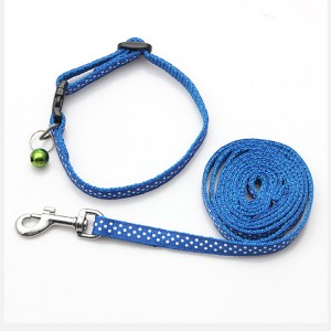 male dog collars and leashes